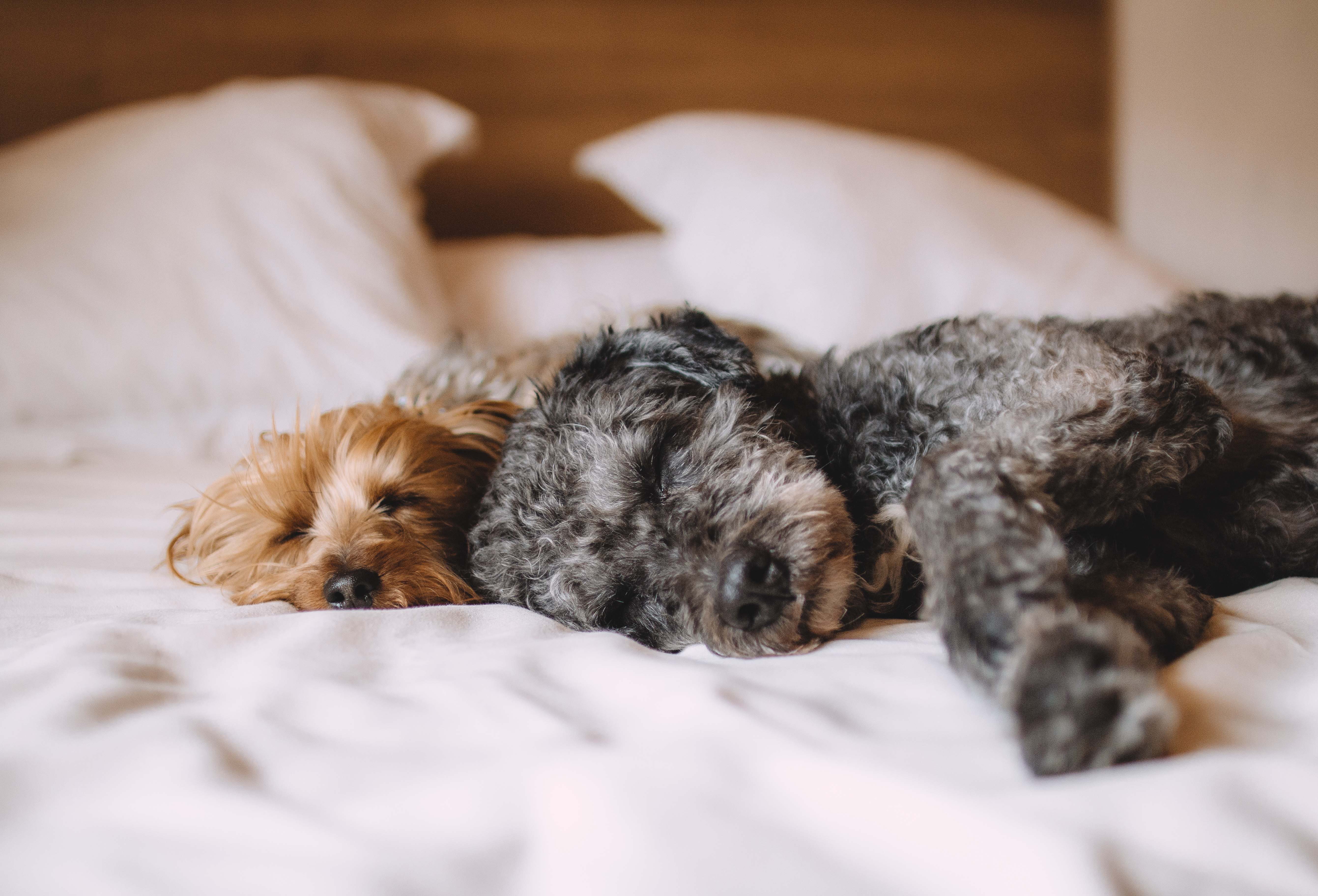 Entdecken Sie weitere Produkte